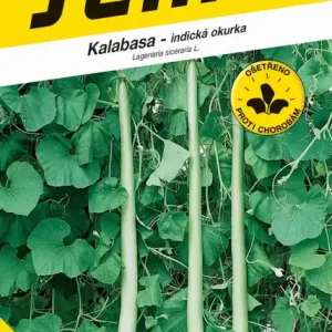 Vásárlói kedvenc Mag indiai uborka tök Kalabasa hosszú 3g